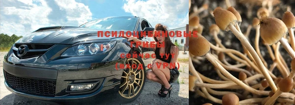 прущие крисы Майский