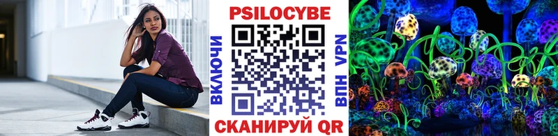 МЕГА как зайти  продажа наркотиков  Димитровград  Галлюциногенные грибы ЛСД 