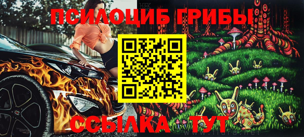 Галлюциногенные грибы ЛСД  Галлюциногенные грибы Magic Shrooms  Димитровград 