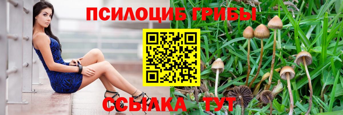 Псилоцибиновые грибы мицелий  Вход с VPN  Димитровград 
